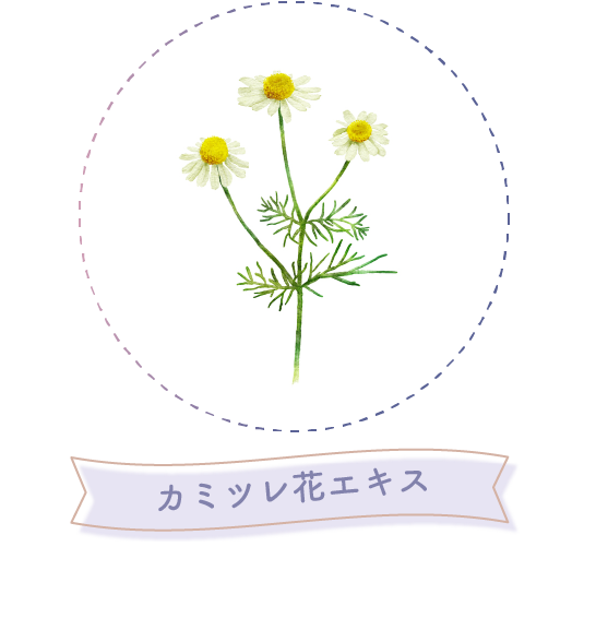 カミツレ花エキス